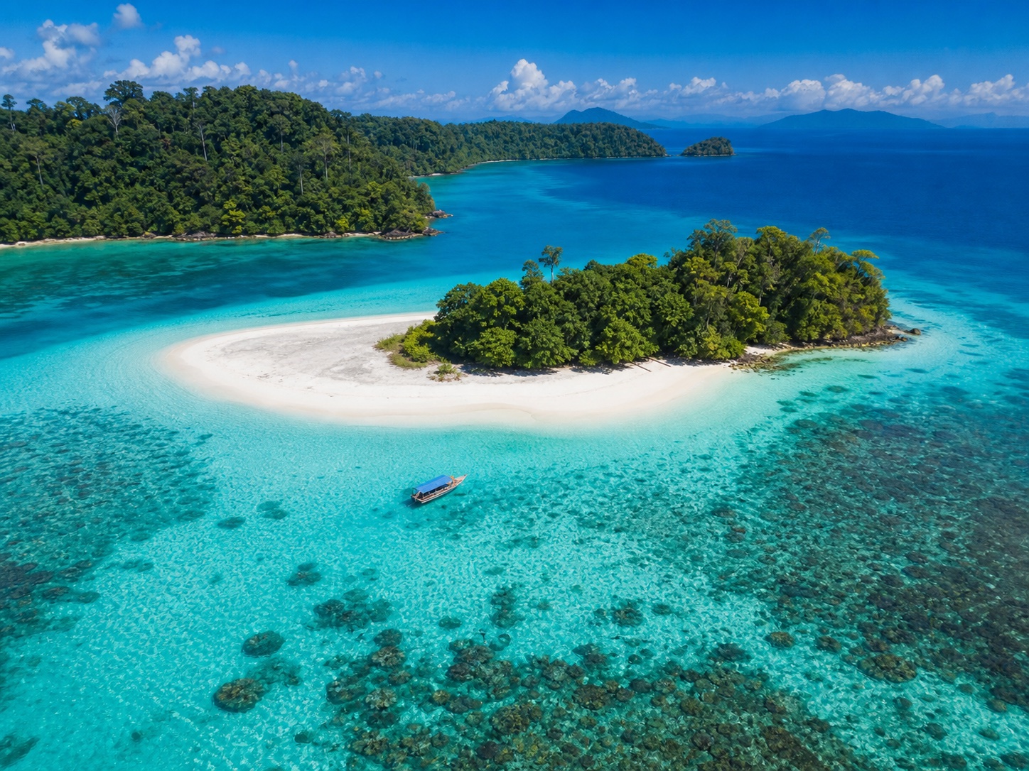 Turquoise Andaman island and tropical beach